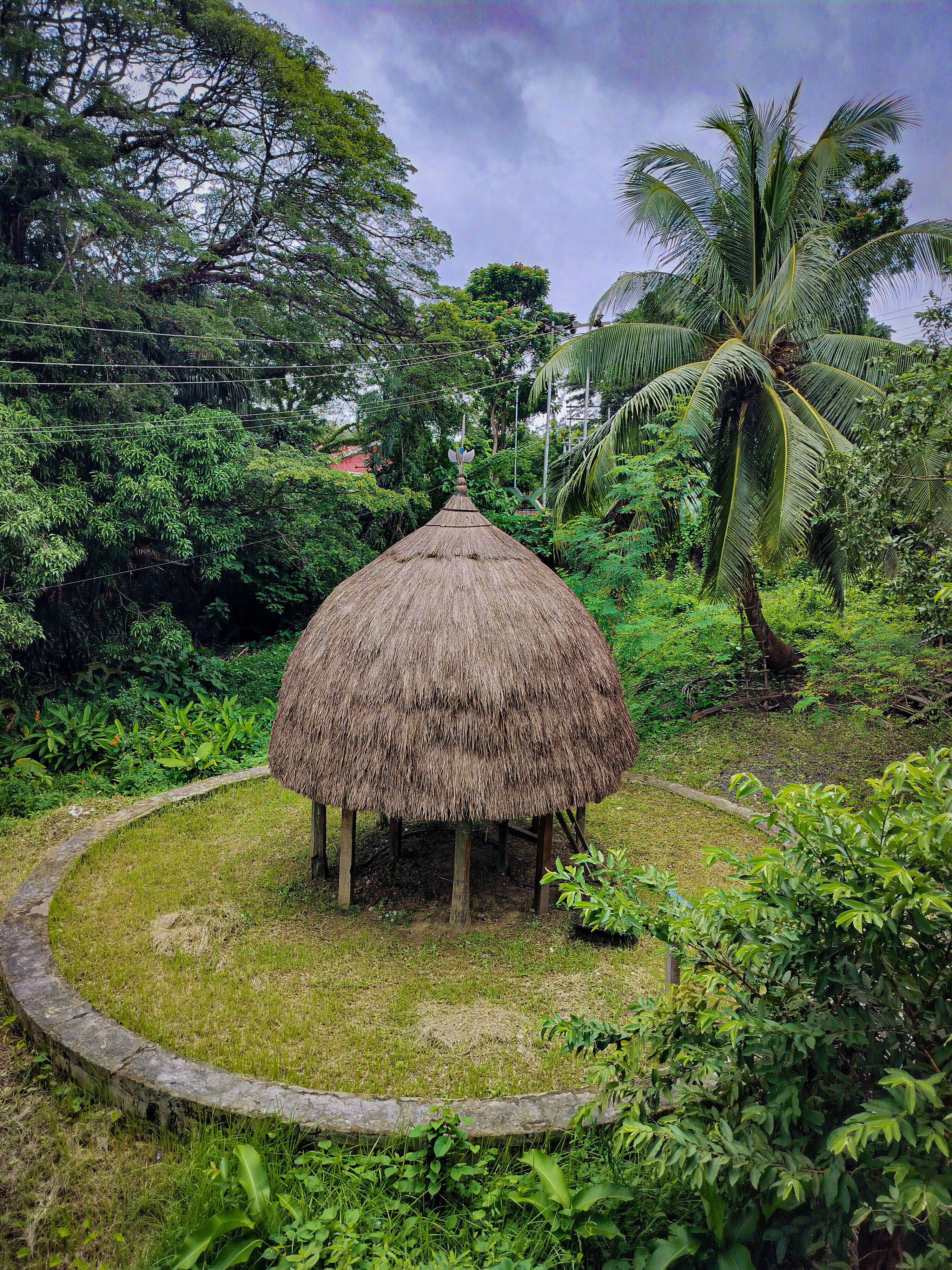 Blog Image