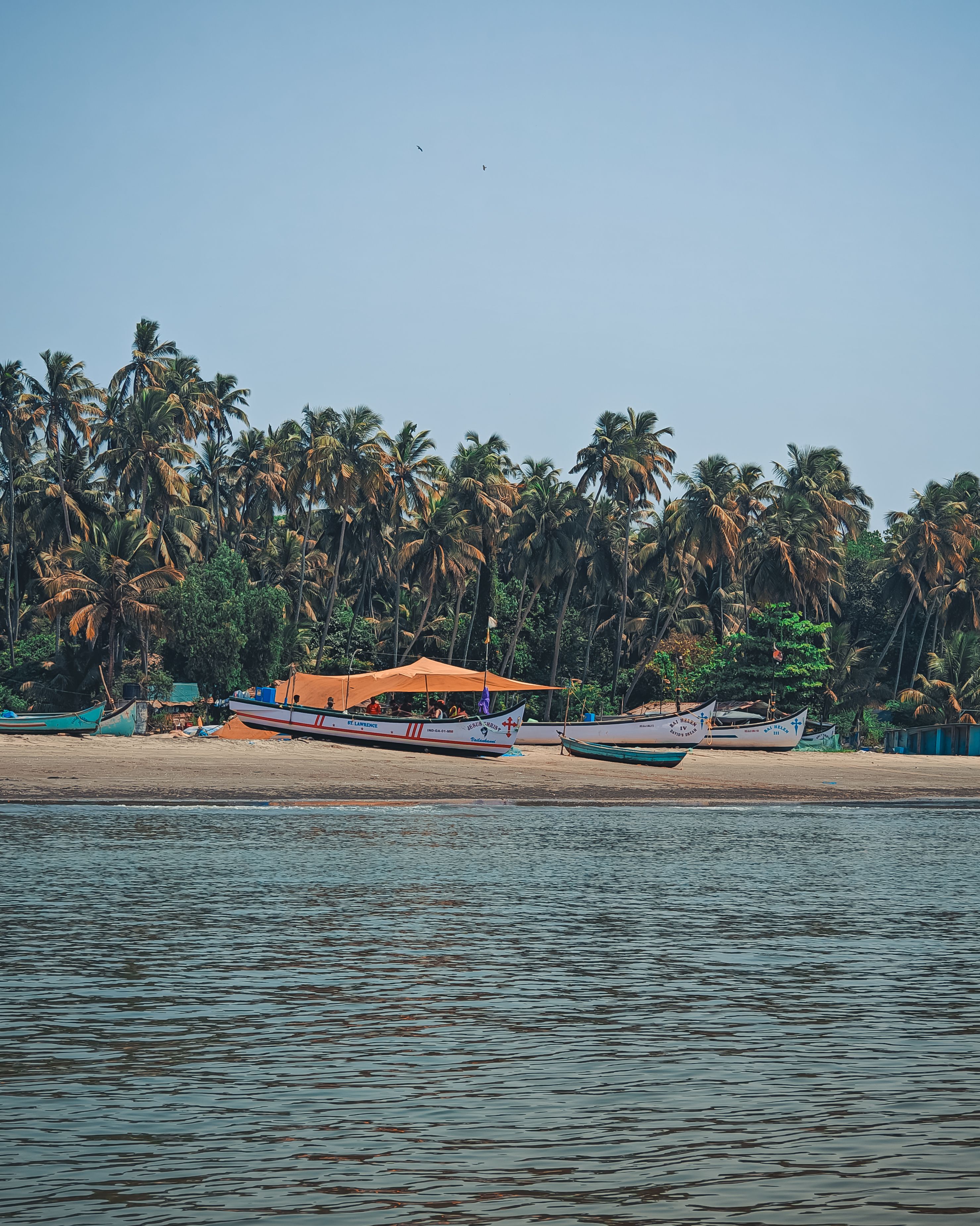 Blog Image